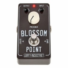 Surfy Bear Blossom Point V2.0