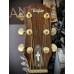 Pre-Owned Taylor 910 Natural 1996