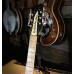 Rickenbacker Tom Petty Limited Edition 12 String