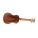 Twisted Wood Aurora Ukulele Soprano - AR800S