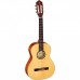 Ortega Family Series R121 Nylon String Acoustic