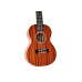Twisted Wood Soprano Pioneer Ukulele - PI-100S