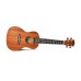 Twisted Wood Tyro Ukulele Soprano - TY-050S