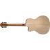 Washburn AG40CEK Flamed Maple  with Electronics Natural