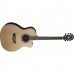 Washburn APPRENTICE AG70CE