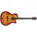 Washburn Deep Forest Burl Ace Amber Fade Acoustic