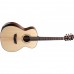 Washburn Comfort Series WCG10SENS Acoustic