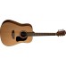 Washburn D5CE Acoustic Guitar