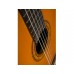 Washburn Classical Series C5-WSH-A | C5 - Guitar