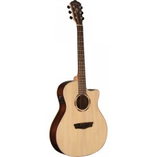 Washburn Woodline o20SCE