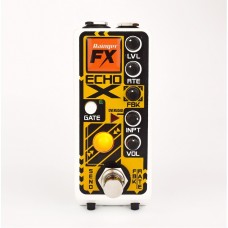 Rainger Fx ECHO-X digital delay and Igor mini pedal