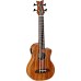 Ortega Caiman-GB-GB Lizard Series Acoustic-Electric Ukulele