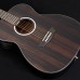 Washburn Deep Forest Ebony FE - DFEFE-A-U