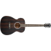 Washburn Deep Forest Ebony FE - DFEFE-A-U